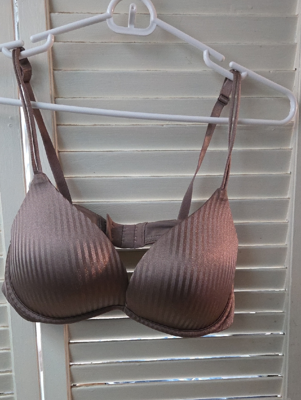 Women's Shimmery Taupe Padded Bra - Comfort Support 36B